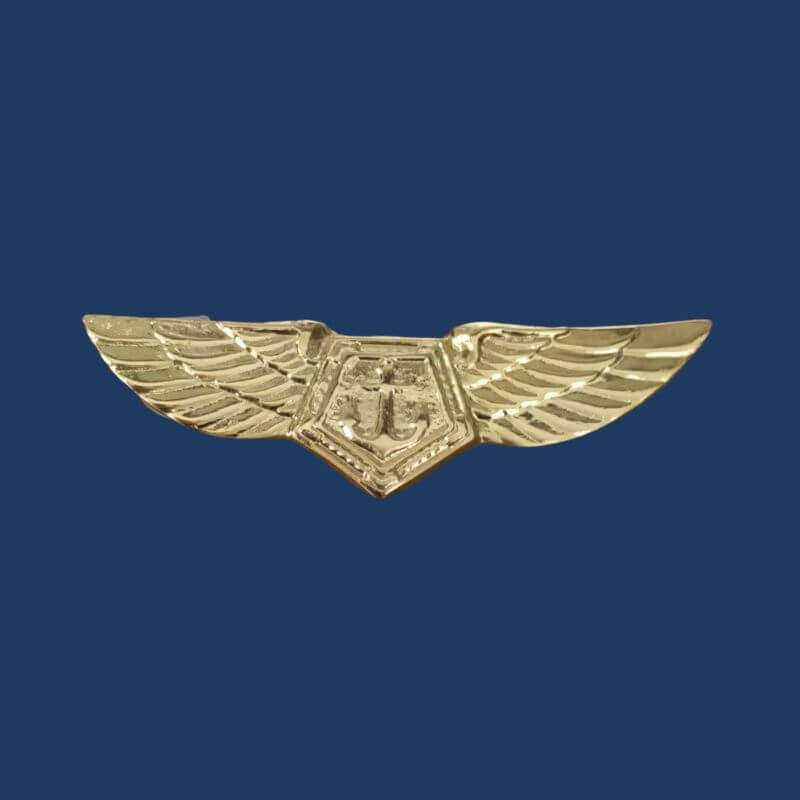 BREVE METAL AVIAÇÃO - PRAÇA - Expresso Militar