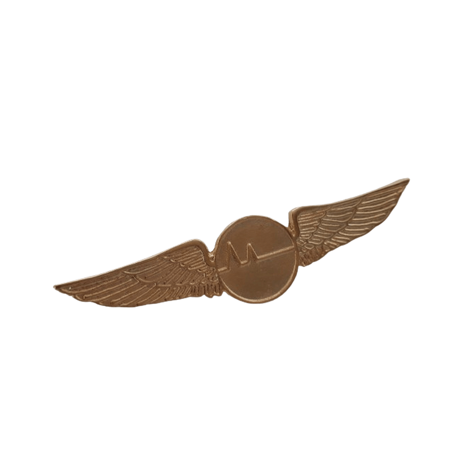 BREVE METAL DOURADO AEROTATICO - Expresso Militar