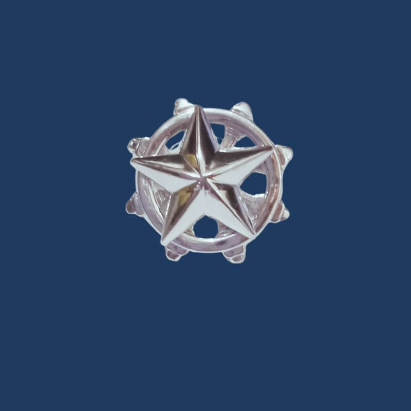 DISTINTIVO METAL COMANDO E DIREÇÃO PRATA - Expresso Militar