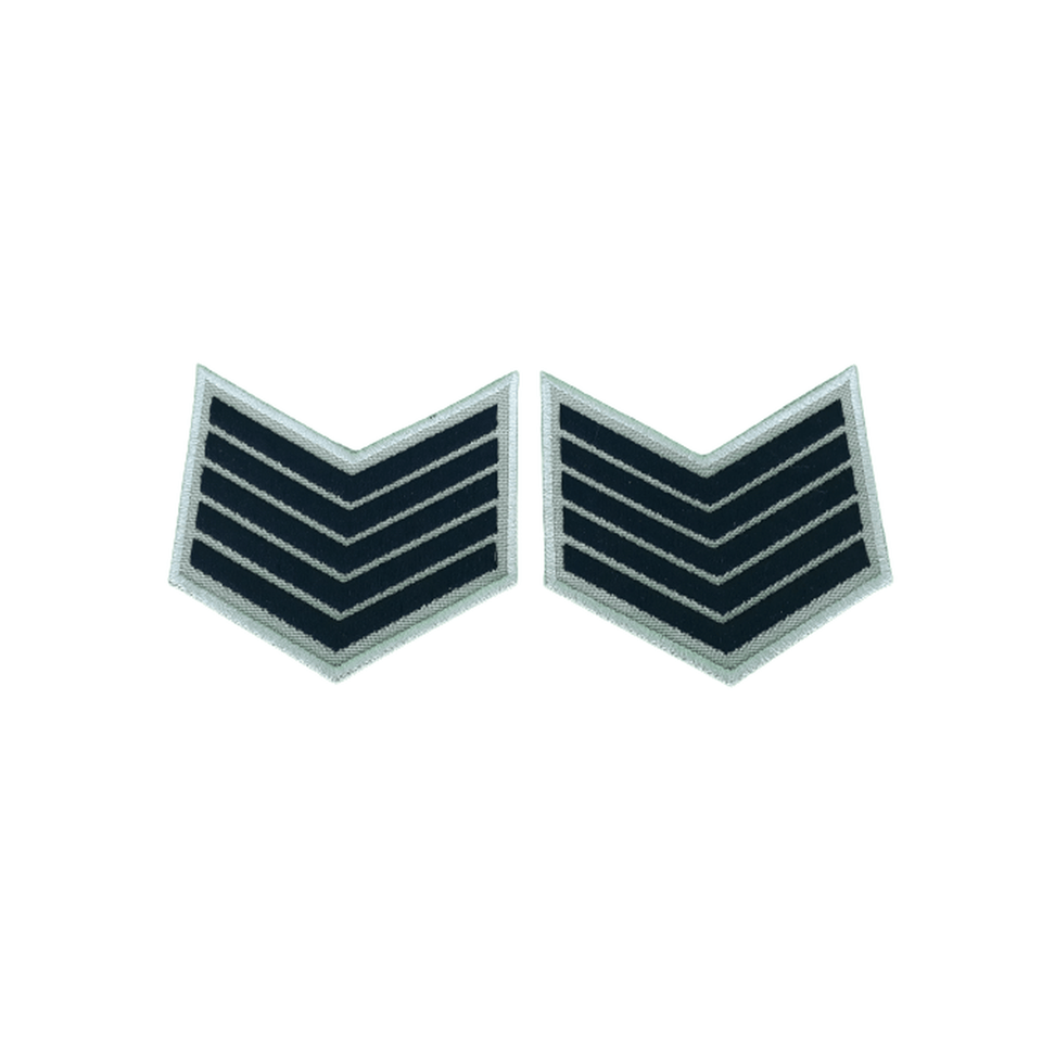 DIVISA NOVA BEGE - Expresso Militar