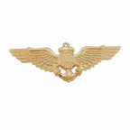 Distintivo dourado com asas, círculo central, coroa e laço