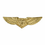 Distintivo dourado com asas estilizadas e hexágono central com iniciais