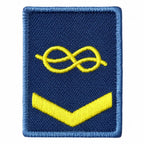 Emblema retangular azul escuro com símbolo amarelo em laço infinito e faixa V